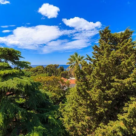 Hedera Estate, House Hedera V بيت للعطل *