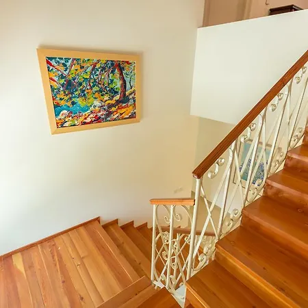 Hedera Estate, House Hedera V Dubrovnik