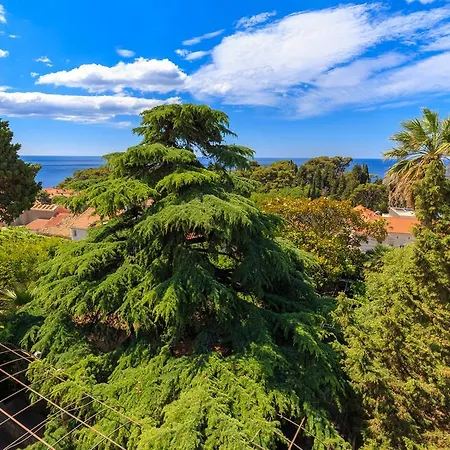 Hedera Estate, House Hedera V *